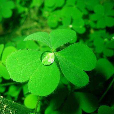 彩票平台wellcome