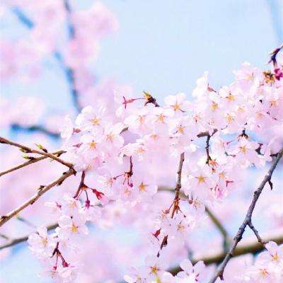 江南体育手机app下载